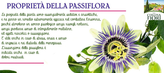 passiflora-proprietà